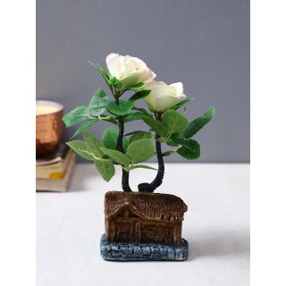 Colorful and Attractive White Rose Bonsai Plant(APL20203)