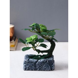 Petite but Stylish Vibrant Decoraive Bonsai Plant(APL20207)