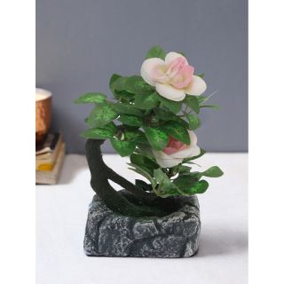 Beautiful and Impeccable Bonsai Plant(APL20210)