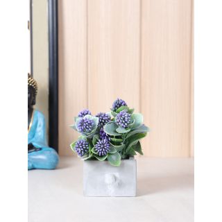 Vibrant and Colorful Indoor Decorative Plant-Purple(APL2075PU)