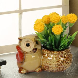 Brown & Beige Owl design Ceramic Pot (CH18392B)