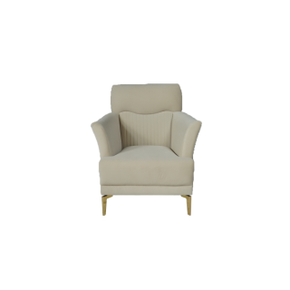 Weston Fabric 1 Seater Arm Chair in Beige color