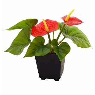 Artificial Red Color Anthurium Bonsai Plant With Pot (124)