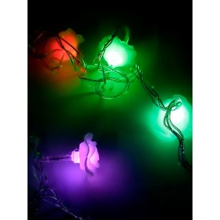 Enlightening and Sparkling 20 Led multi colour string Lights(LIG19204)