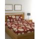 Raymond Home 104TC Exclusive Double Bedsheet with 2 Pillow Covers-8903024957539