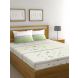 Raymond Home 144TC Camphor Double Bedsheet with 2 Pillow Covers-8903024958826