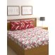 Raymond Home 144TC Shimmer Double Bedsheet with 2 Pillow Covers (8903024971115)