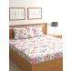 Raymond Home 200TC Affair Double Bedsheet with 2 Pillow Covers (8903024972112)