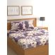 Raymond Home 200TC Affair Double Bedsheet with 2 Pillow Covers (8903024972273)
