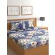 Raymond Home 200TC Affair Double Bedsheet with 2 Pillow Covers (8903024972297)
