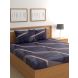 Raymond Home 200TC Affair Double Bedsheet with 2 Pillow Covers (8903024972457)