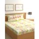 Raymond Home 200TC Affair Double Bedsheet with 2 Pillow Covers (8903024972617)
