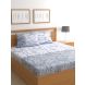 Raymond Home 200TC Affair Double Bedsheet with 2 Pillow Covers (8903024972754)