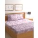 Raymond Home 200TC Affair Double Bedsheet with 2 Pillow Covers (8903024972761)