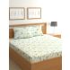 Raymond Home 200TC Affair Double Bedsheet with 2 Pillow Covers (8903024972853)
