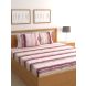 Raymond Home 200TC Affair Double Bedsheet with 2 Pillow Covers (8903024972914)