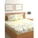 Raymond Home 200TC Affair Double Bedsheet with 2 Pillow Covers (8903024973003)
