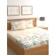Raymond Home 200TC Affair Double Bedsheet with 2 Pillow Covers (8903024973010)