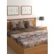 Raymond Home 200TC Affair Double Bedsheet with 2 Pillow Covers (8903024973157)