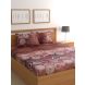 Raymond Home 200TC Affair Double Bedsheet with 2 Pillow Covers (8903024973171)