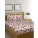 Raymond Home 104TC Exclusive Double Bedsheet with 2 Pillow Covers-8903024979784