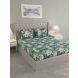 Raymond Home 104TC Exclusive Double Bedsheet with 2 Pillow Covers (8903024998617)