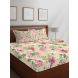 Layers - 100% Cotton - Queen - Tuscany Beautiful Colour and Soft Touch - Design Bedsheet Set -with 2 Pillow Cover Percale - Breathable and Skin FriendlyFTR00941