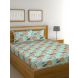 Raymond Home 104 TC Exclusive Double Bedsheet with 2 Pillow Covers-8903024950622
