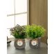 Set of 2 Green Plastic Artificial Plant with Ceremic Pot(APL18289B_2)