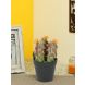 Artificial Plastic Cactus and  Beautiful Orange Flower with ABS Plastic Pot(APL18297)