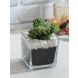 Green Artificial Bonsai Indoor Plant With Glass Pot(APL20174B)