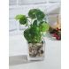 Green Artificial Leaf Philodendron Silk Plant with White Glass Pot(APL20176C)