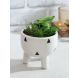 Green Artificial Bonsai Plant With Ceramic Pot(APL20353GR)