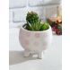 Green Artificial Bonsai Plant With White Ceramic Pot(APL20354GR)