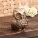 eCraftIndia Brass Decorative Owl Showpiece (BAO501)