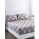 Maspar Bellezza Aerin Neutral 210 TC Cotton Double Bed Sheet with 2 Pillow Covers