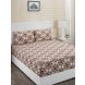 Maspar Donatella Cadence Orange 144 TC Cotton Double Bed Sheet with 2 Pillow Covers