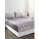 Maspar Co-Exist Eclat Purple 210 TC Cotton King Bed Sheet with 2 Pillow Covers