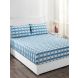 Maspar Co-Exist Escala Blue 210 TC Cotton Double Bed Sheet with 2 Pillow Covers