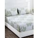 Maspar Bellezza Jacquelyn Green 400 TC Cotton King Bed Sheet with 2 Pillow Covers