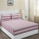 Maspar Donatella Linea Pink 210 TC Cotton Double Bed Sheet with 2 Pillow Covers