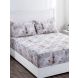 Maspar Bellezza Quinn Neutral 210 TC Cotton King Bed Sheet with 2 Pillow Covers