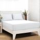 Maspar Colorart Slumber White 200 TC Cotton Single Bed Sheet with 1 Pillow Cover