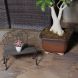 Chair Table Style Decorative cum Planter Pot Stand (CH1780)