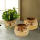 Multicolor Owl Design Ceramic Pot - Set of 3 (CH18390B)