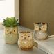Multicolor Owl design Ceramic Pot - Set of 3 (CH18393A)