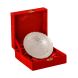 eCraftIndia German Silver Multiutility Round Decorative Platter with Velvet Box (GSTRAY505)