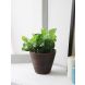 Wooden Planter (HDI - 070828)
