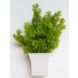 Artificial Green Color Wild Plant Arrangement With Pot (139)