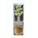 Aroma Reed Diffuser Set Jasmine Fragrance oil in Round Glass Bottle